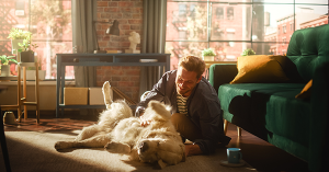 Man playing with his golden retriever pet inside flat. SAM Conveyancing's guide on leasehold no pets clauses Man playing with his golden retriever pet inside flat. SAM Conveyancing's guide on leasehold no pets clauses