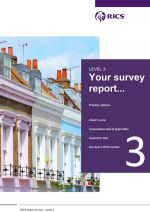 Example of a Level 3 Home Survey