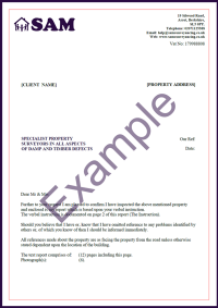 Damp And Timber Survey from SAM Conveyancing
