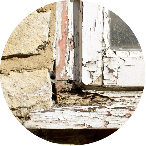 Rotting wood on a window frame flagged in a Home Building Survey