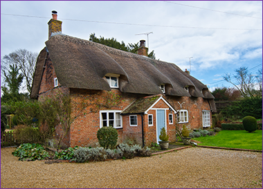 Thatched-Roof-Building-Survey
