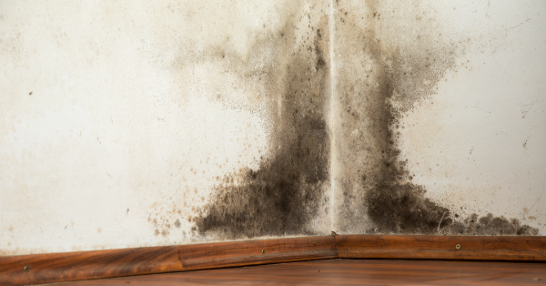 Condensation in Loft Space | SAM Conveyancing | Expert Advice